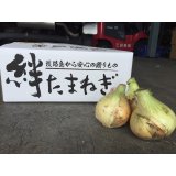 【成熟】絆たまねぎ