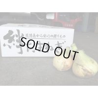 【新玉】絆たまねぎ
