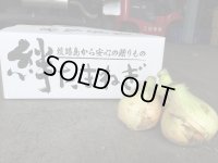 【新玉】絆たまねぎ
